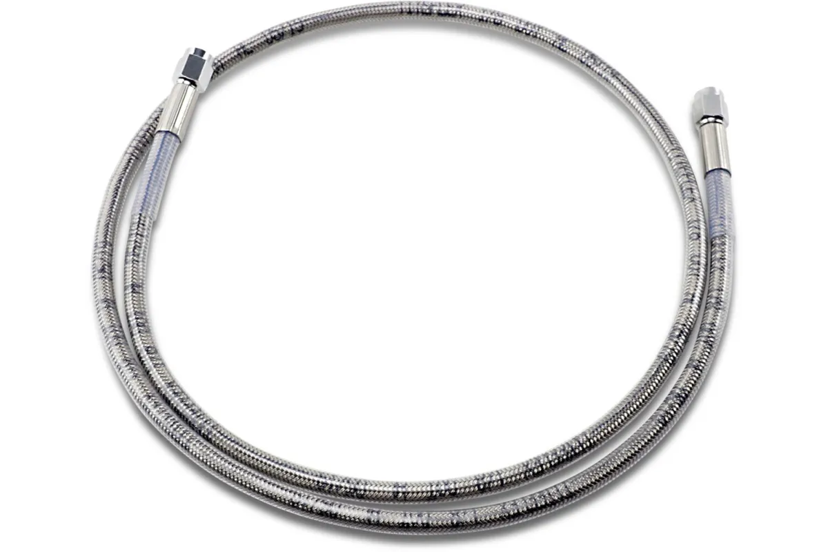 43UNIV SS CLEAR COAT DOT