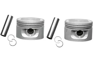 PISTONS 80 V-2 EVO 005