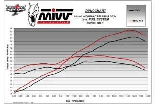 Système d'échappement complet MIVV AK-1