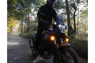 DENALI Cansmart Kit DL4 Amber Lens