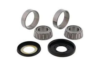 Kit roulements de colonne de direction ALL BALLS