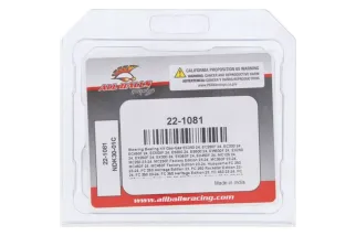 Kit roulements de colonne de direction ALL BALLS