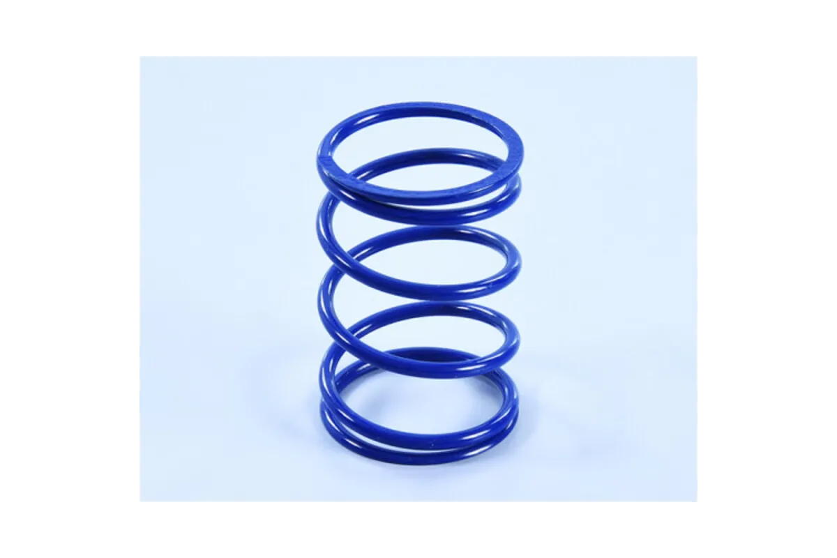 Ressort d'embrayage POLINI