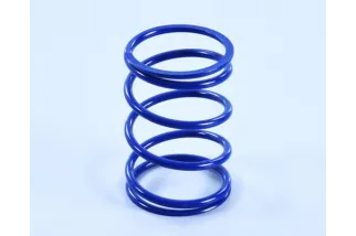 Ressort d'embrayage POLINI