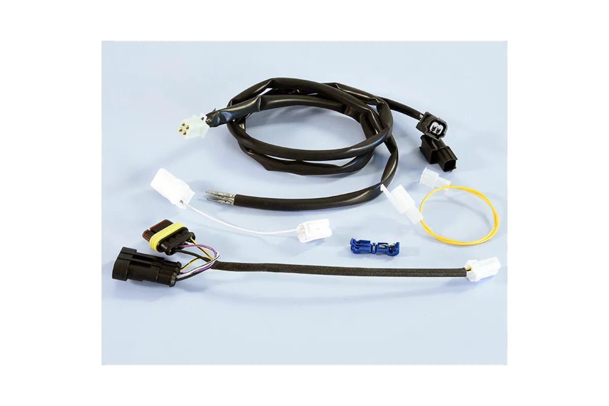 Connecteur/faisceau de câbles POLINI