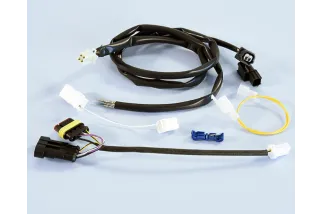 Connecteur/faisceau de câbles POLINI