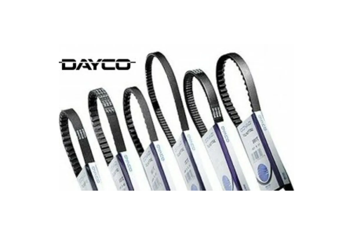 Courroie de transmission DAYCO standard