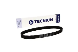 TECNIUM Courroie CVT EliteGrip