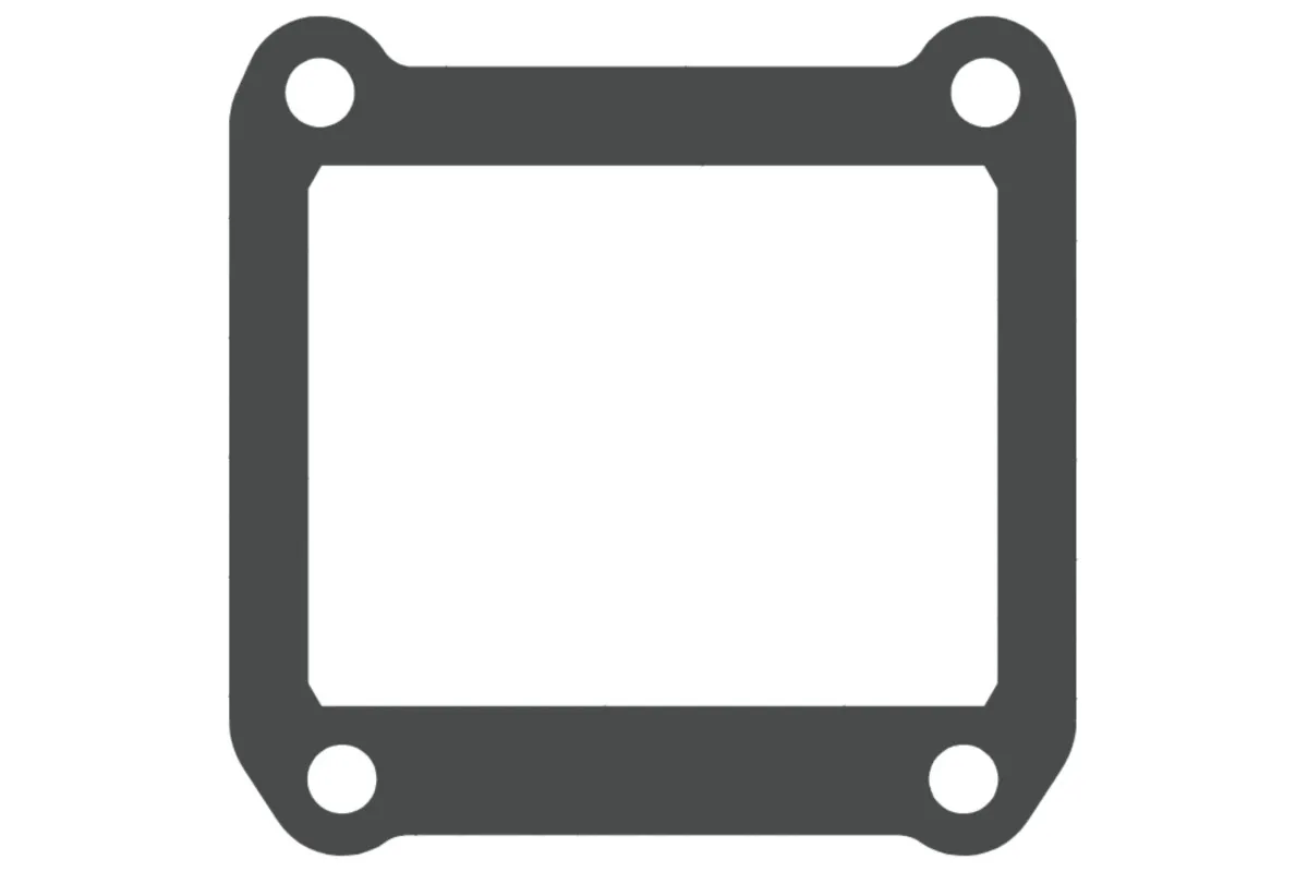 Joints de clapet V-FORCE - jeu de 2 joints