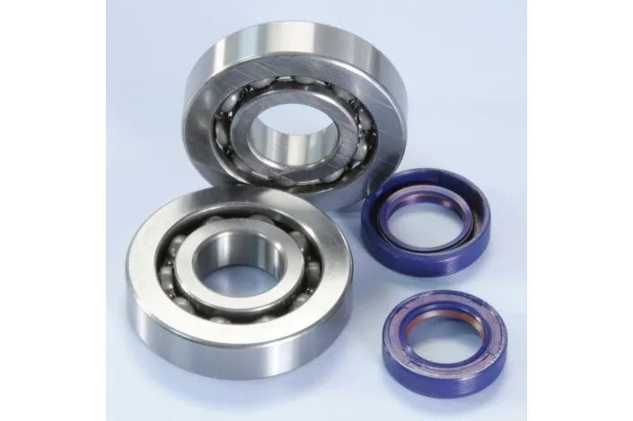 POLINI Crankshaft Bearing Kit
