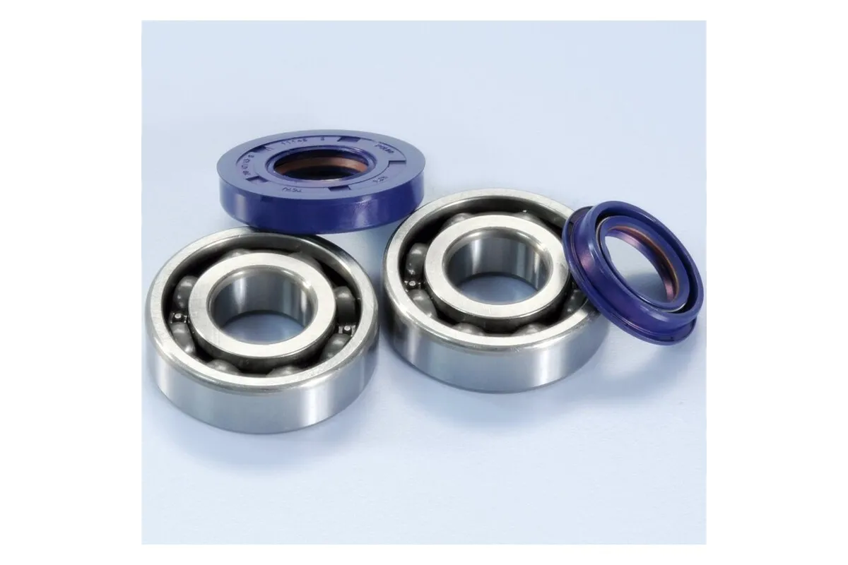 POLINI Crankshaft Bearings And Seals Kit Minarelli Engine