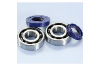 POLINI Crankshaft Bearings And Seals Kit Minarelli Engine