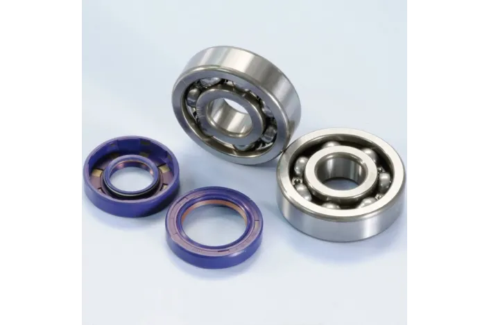 POLINI Crankshaft Bearing And Gasket Set Minarelli AM6 Engine