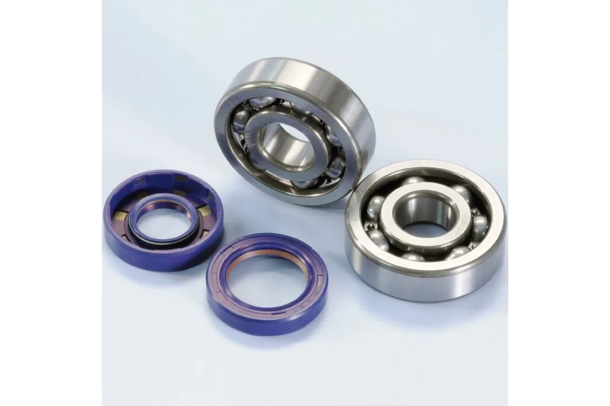 POLINI Crankshaft Bearing And Gasket Set Minarelli AM6 Engine