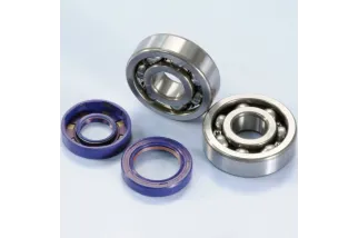 POLINI Crankshaft Bearing And Gasket Set Minarelli AM6 Engine