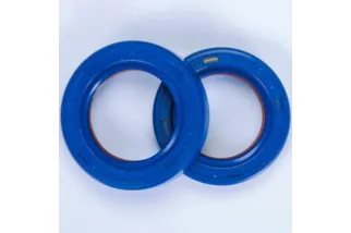 POLINI PTFE/FKM Crankshaft Oil Seals