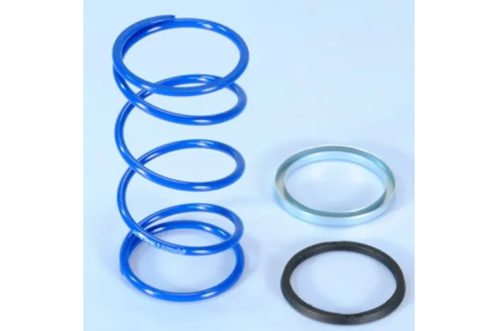 Spring Polini EVO Slider D.3,8 Minarelli 243.104