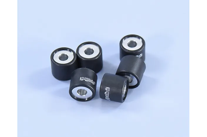 Jeu de galets POLINI 19x17mm 6gr - 6 pièces