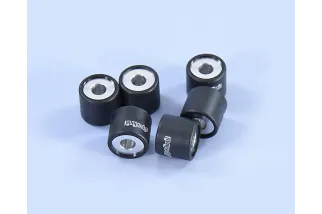 Jeu de galets POLINI 19x17mm 9gr