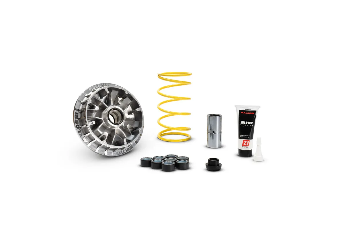 Variateur MALOSSI Multivar 2000