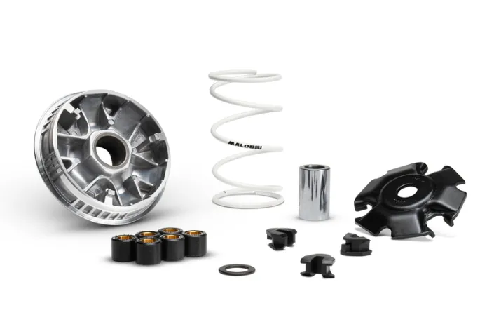 Variateur MALOSSI Multivar 2000