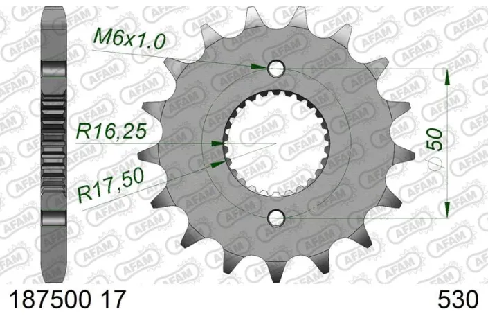 Pignon AFAM acier standard 1875001 - 530