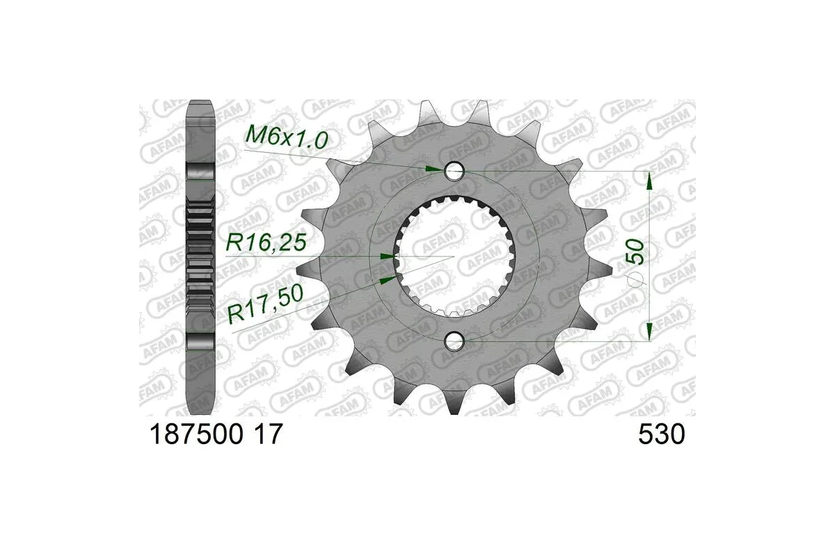 Pignon AFAM acier standard 1875001 - 530