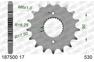 Pignon AFAM acier standard 1875001 - 530