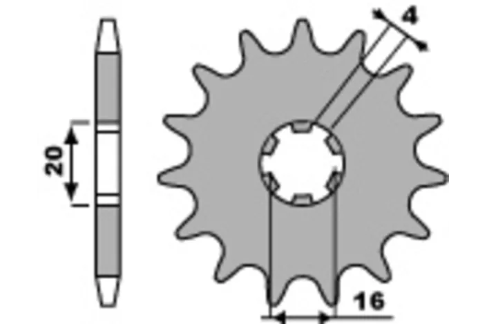 Pignon PBR acier standard 560 - 420