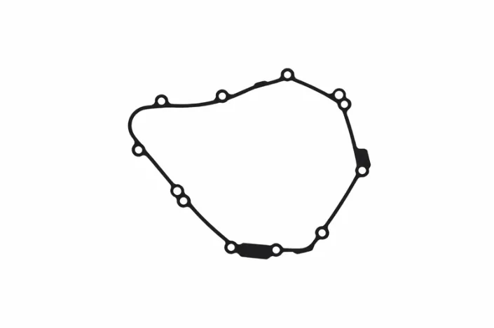 Joint de carter d'alternateur CENTAURO