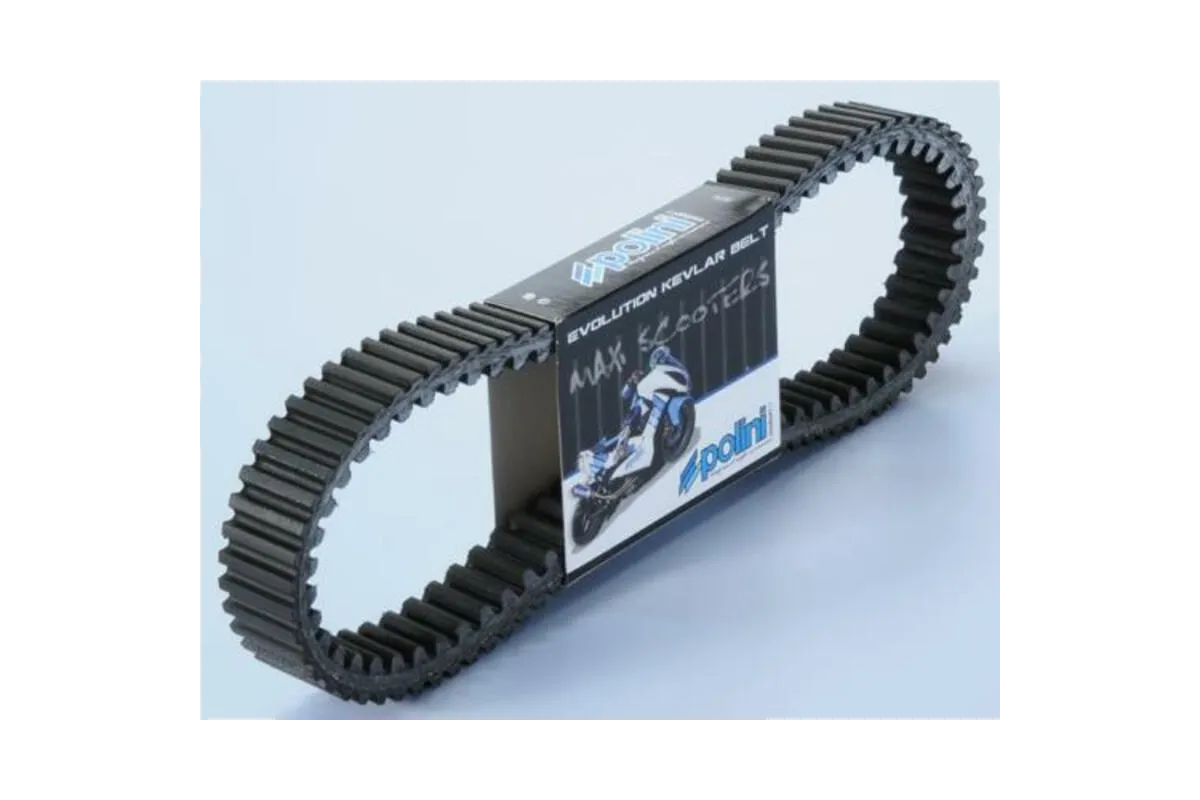 Courroie de transmission POLINI V-Belt renforcée