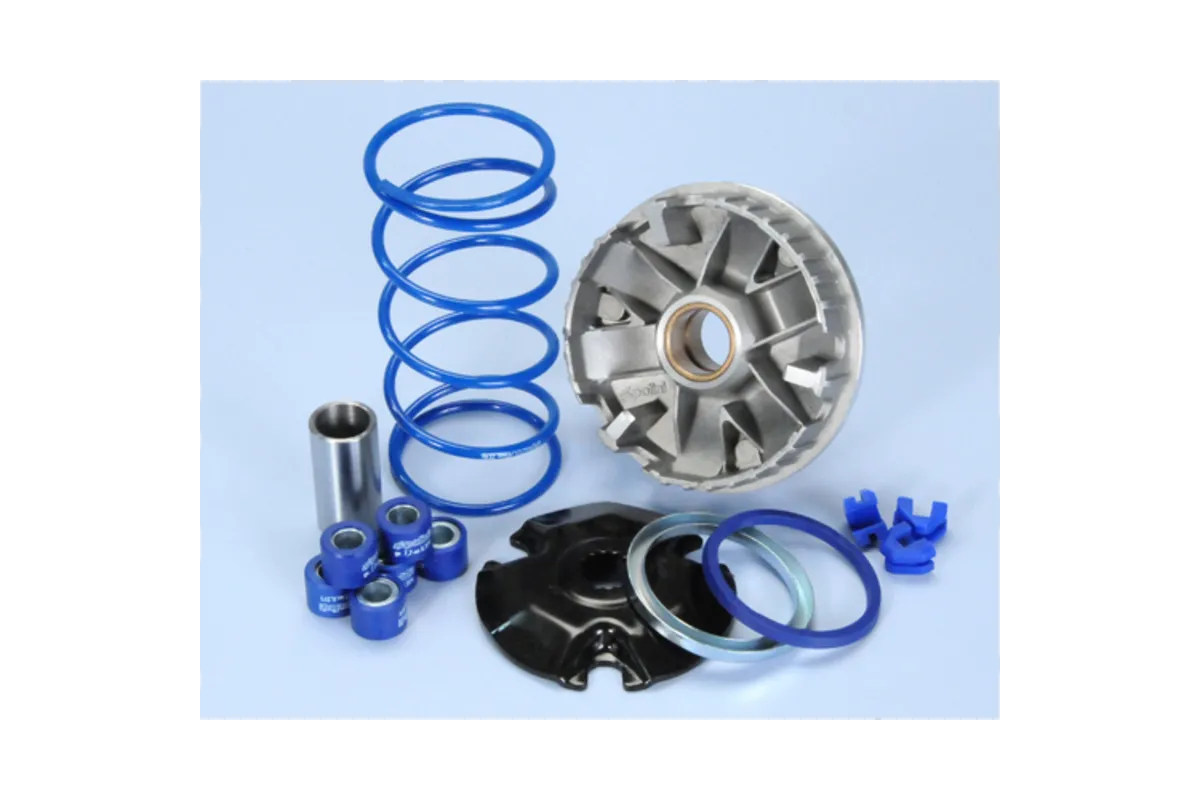 Variateur POLINI Phantom F12R - Maguti