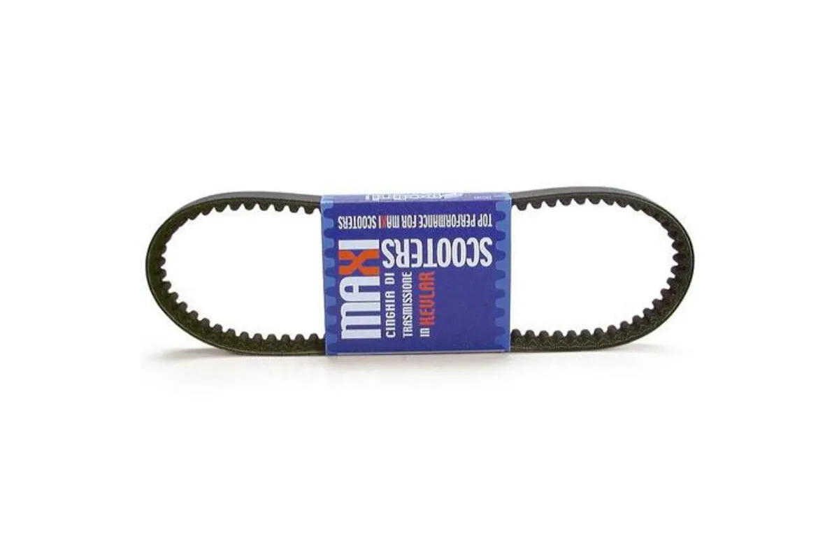 Courroie de transmission POLINI V-Belt renforcée