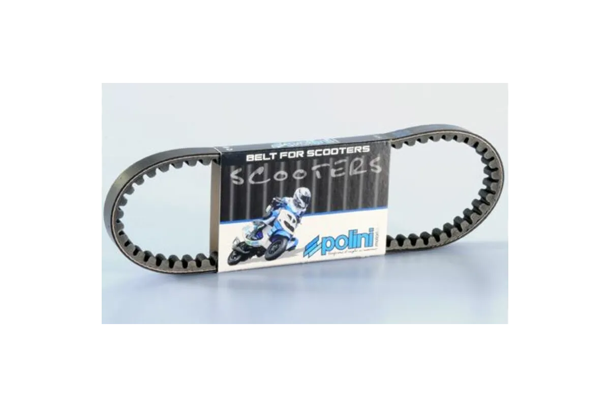 Courroie de transmission POLINI standard