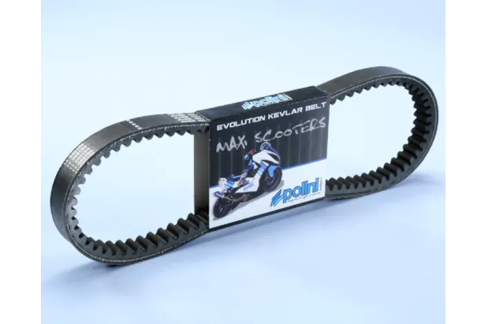 Courroie de transmission POLINI Kevlar renforcée