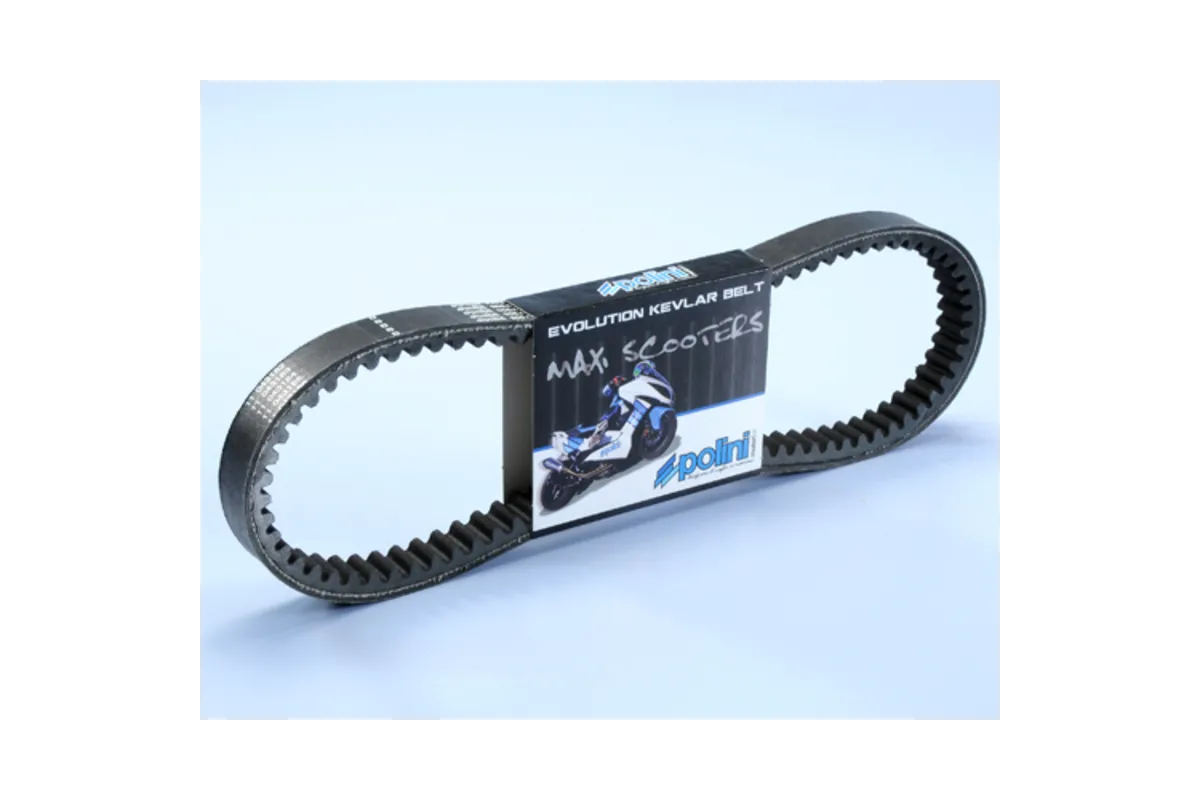 Courroie de transmission POLINI Kevlar renforcée