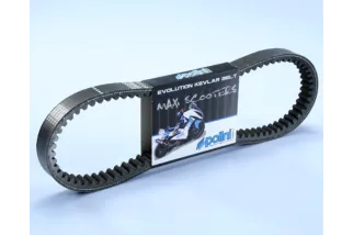 Courroie de transmission POLINI Kevlar renforcée