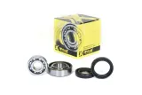 Kit roulements et joints spi de vilebrequin PROX
