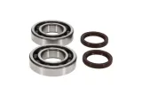 Kit roulements et joints spi de vilebrequin PROX