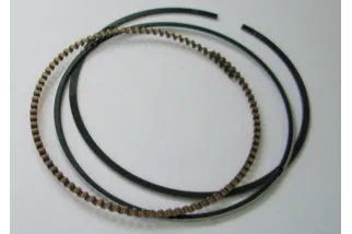 Jeu de segments WÖSSNER Ø79.00mm