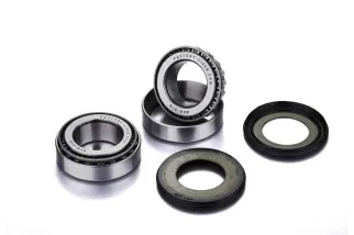 Kit de roulements FACTORY LINKS - 6905 2RS x10