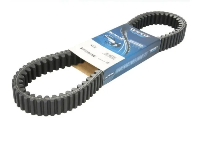 Courroie dentée intérieur et extérieur DAYCO Renforcé