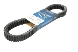 Courroie dentée intérieur et extérieur DAYCO Renforcé