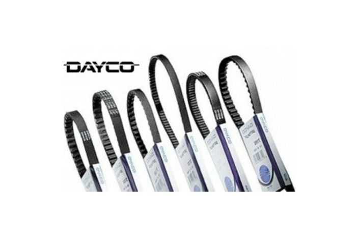 Courroie de transmission DAYCO standard
