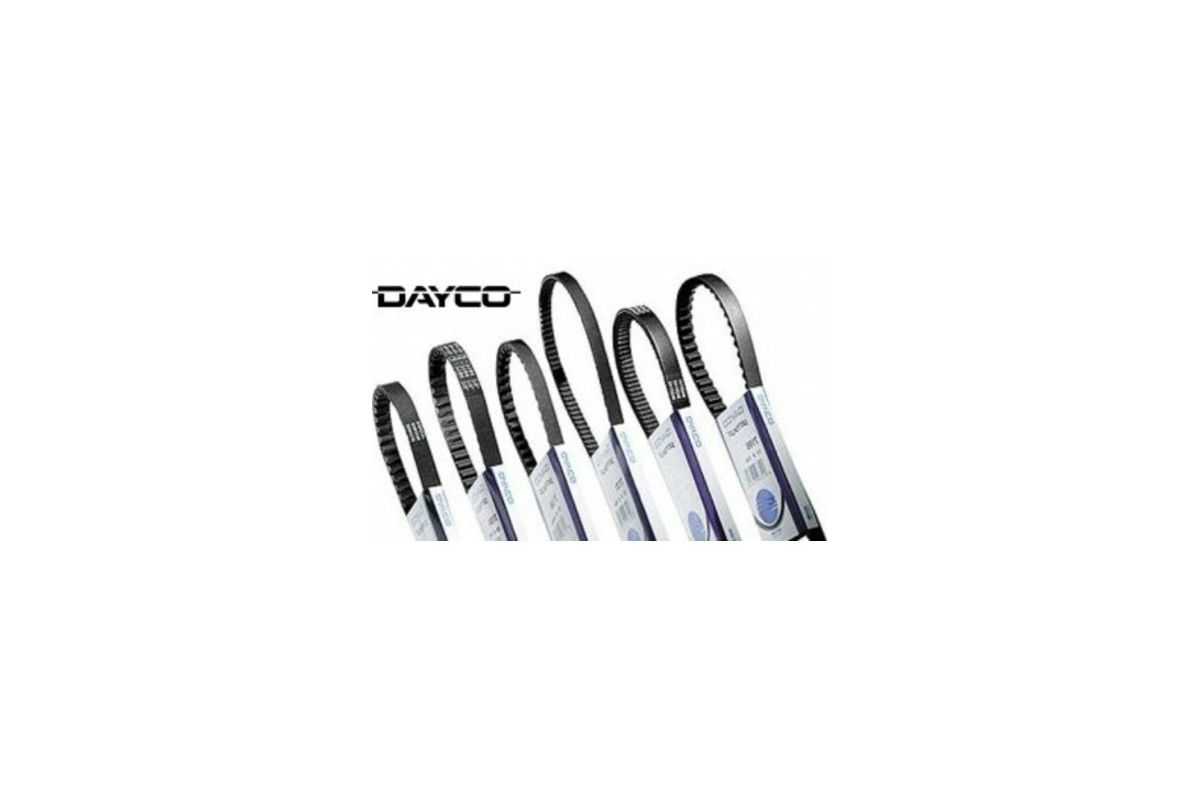 Courroie de transmission DAYCO standard