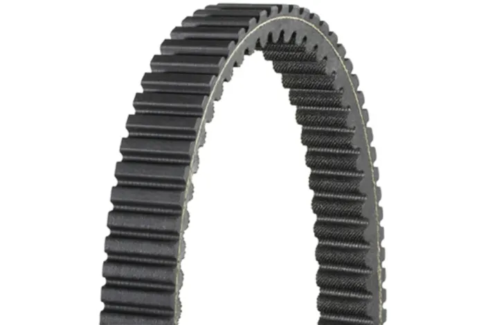 Courroie dentée intérieur et extérieur DAYCO Renforcé