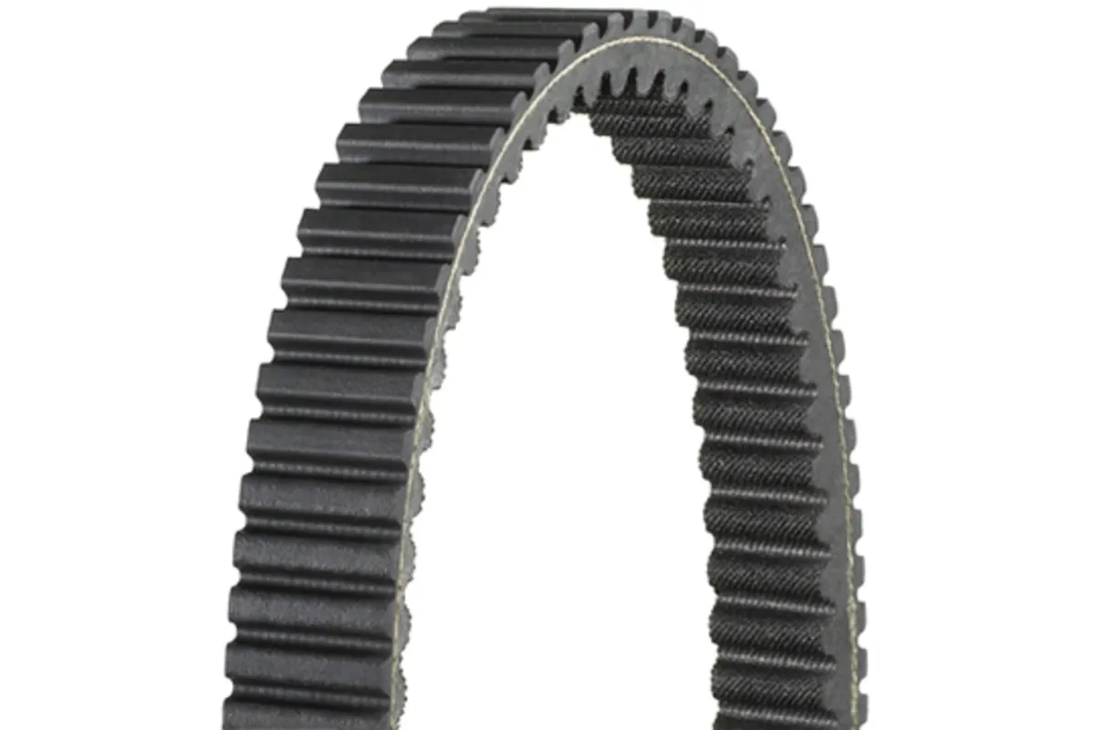 Courroie dentée intérieur et extérieur DAYCO Renforcé