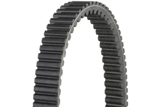 Courroie dentée intérieur et extérieur DAYCO Renforcé