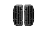 Ouïes de radiateur RACETECH oversize