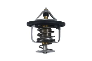 Thermostat ALL BALLS